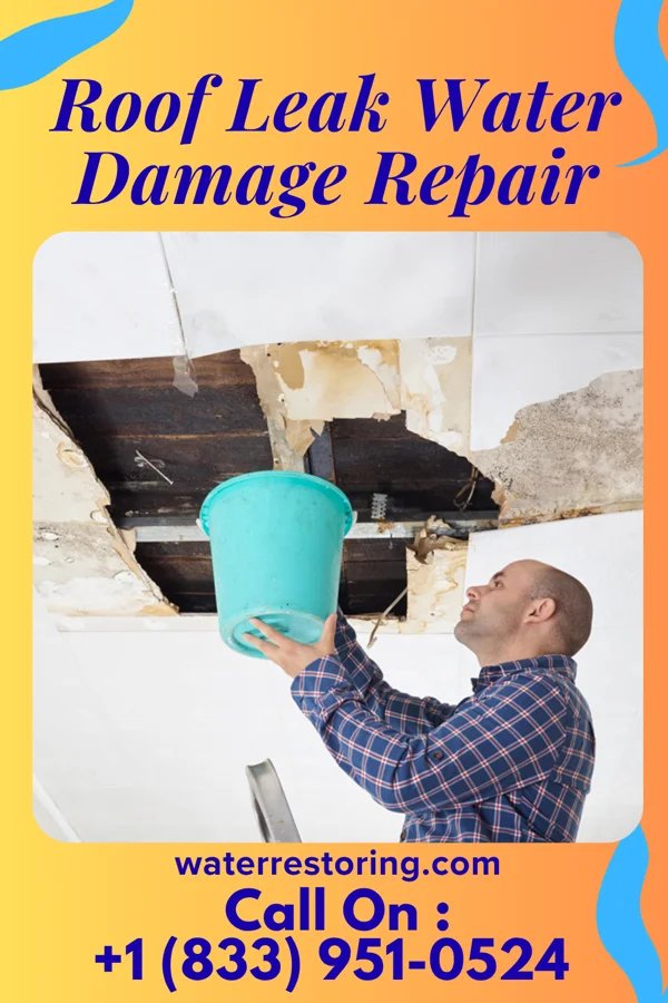 Roof Leak Water Damage Repair in Savanna, OK